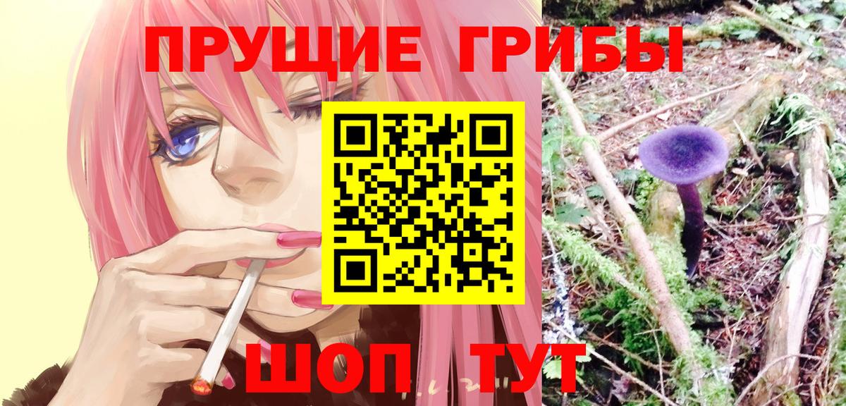 Елец  Галлюциногенные грибы ЛСД  Вход с VPN  купить закладку  Галлюциногенные грибы мицелий 