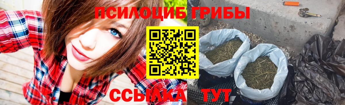 Галлюциногенные грибы мухоморы Елец